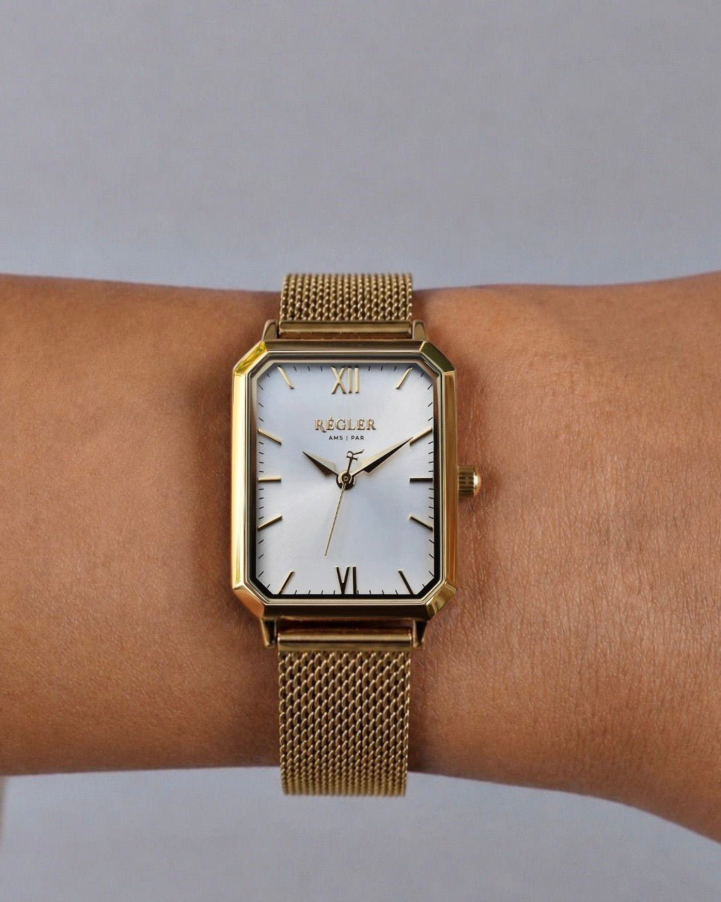 Élégance Gold Mesh - Silver - RéglerRW2231130J